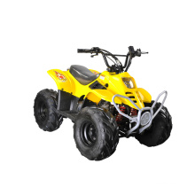 50ccm / 70cc / 110cc Kinder Mini ATV mit einem Sitz (MDL GA001)